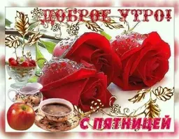 42995E23-1256-4C38-8137-19AB1704E265.webp