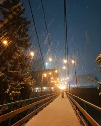 1201.webp