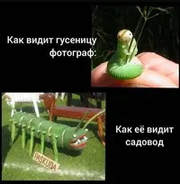 1200-14.webp