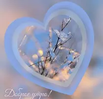 C3548515-4810-4E8C-959B-ADBC468CEDEF.webp
