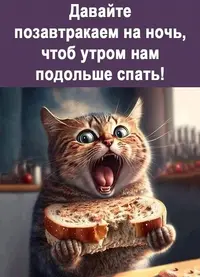 20240111_173137_496.webp
