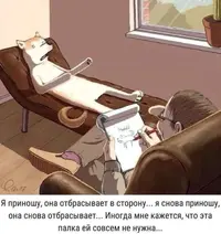AzH7Eb9xnkI.webp