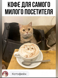 Screenshot_2024-01-16-15-38-39-62_68e74cc0265513bba3f4cf8e2c9891fe.webp