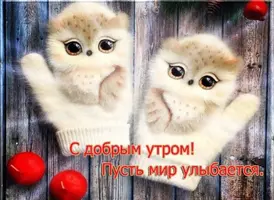 F4E23E56-E55C-4374-918E-282626FFEFD8.webp