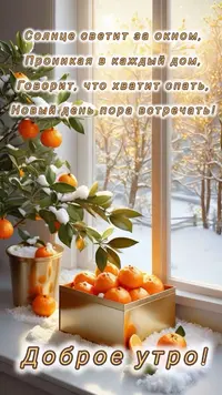 IMG_1930.webp