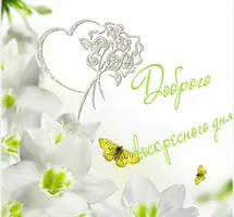 655004AB-BA33-412B-8A22-02AE8CECACF9.webp
