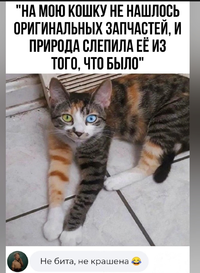 Screenshot_2024-01-22-11-57-49-75_68e74cc0265513bba3f4cf8e2c9891fe.webp
