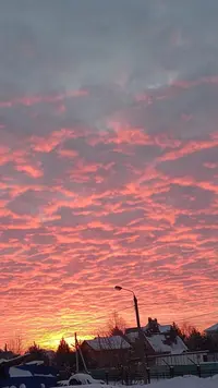 IMG20240122083339.webp