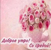 A43AE346-3495-4D2D-8BD7-C2DD026CC621.webp