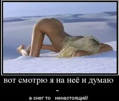IMG_0833.webp