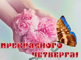 4CC42BF6-31F2-4B22-B7FD-5C4CA82B7440.webp