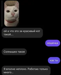 1200-п3.webp