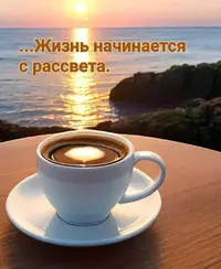 FB_IMG_1693735956251.webp