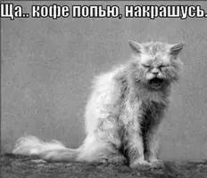 1200-нстрн.webp