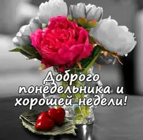 BA3AD8FC-A1BA-43D6-B44F-3A3E824E2195.webp