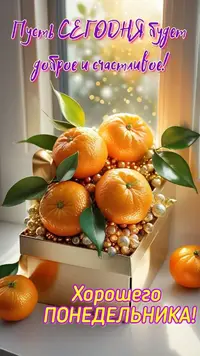 IMG_2016.webp