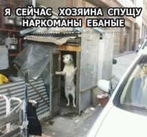 SAVE_20240129_230141.webp