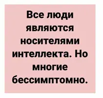 UID822217_1645211884_9.webp