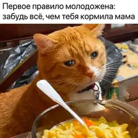 1697774976190670838.webp