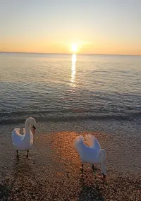 красота.webp