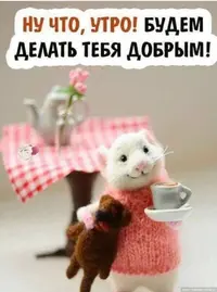 IMG-20240131-WA0010.webp
