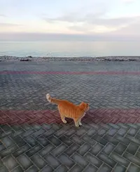 утро2.webp
