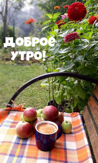 dobrogoutra_ru_24076.webp