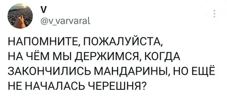 1200-нстрн.webp