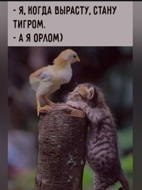 Screenshot_2024-02-03-19-17-48-63_68e74cc0265513bba3f4cf8e2c9891fe.webp
