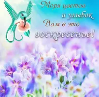 857A7A2C-ECAC-46FB-B010-46B4668D951B.webp