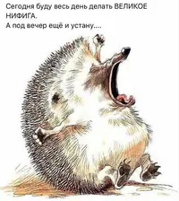 S6cCaBJqkzU.webp