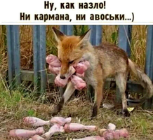 Screenshot_2024-02-04-20-56-39-79_68e74cc0265513bba3f4cf8e2c9891fe.webp