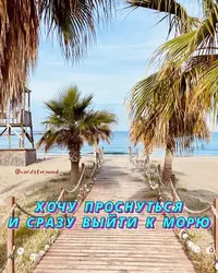 1200-9.webp