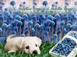 20F46AD2-3716-4C30-9061-6BE429E31960.webp