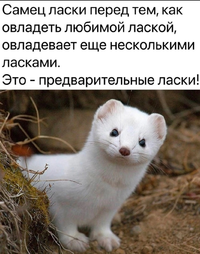 Screenshot_2024-02-06-11-10-14-89_68e74cc0265513bba3f4cf8e2c9891fe.webp