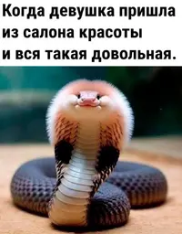 IMG_0886.webp