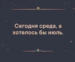 9raQ8HVmc.webp