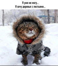 Screenshot_2024-02-09-12-07-14-66_68e74cc0265513bba3f4cf8e2c9891fe.webp