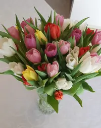 IMG-20240209-WA0007.webp