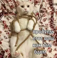 IMG_20240209_182628_629.webp