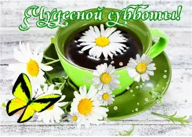 D4AE8B0C-AA05-4A99-B52E-985BFB2968B5.webp