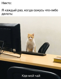 1200-нстрн-1.webp