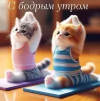 IMG_2092.webp