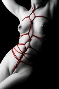 1701636995_naked-titis-org-p-bondage-shibari-erotika-46.webp