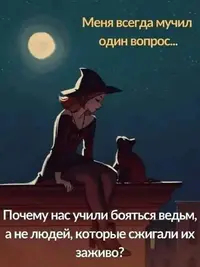 FB_IMG_1707652159552.webp