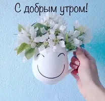 5664F8F9-8FD3-4E7E-BAFC-E27511473AF8.webp