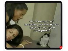 1200-ртчск.webp