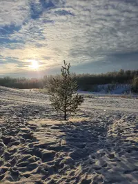 20240211_101924.webp