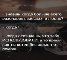 IMG_1213.webp