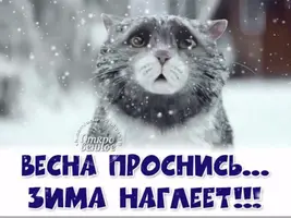982DB6A8-E3C7-4902-BDA3-9E4D955BAB0D.webp